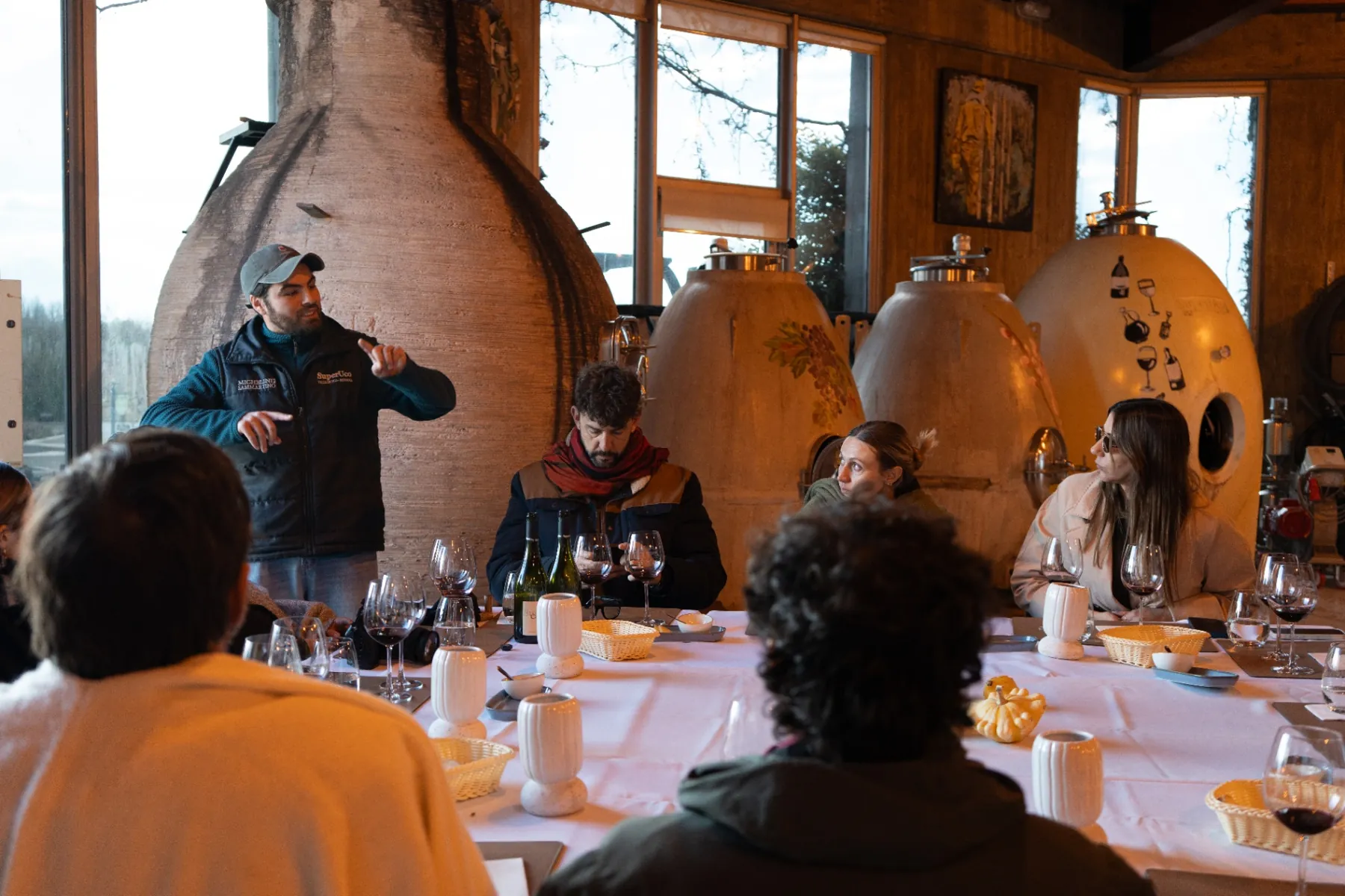 Biodynamic & Organic Wine Tour