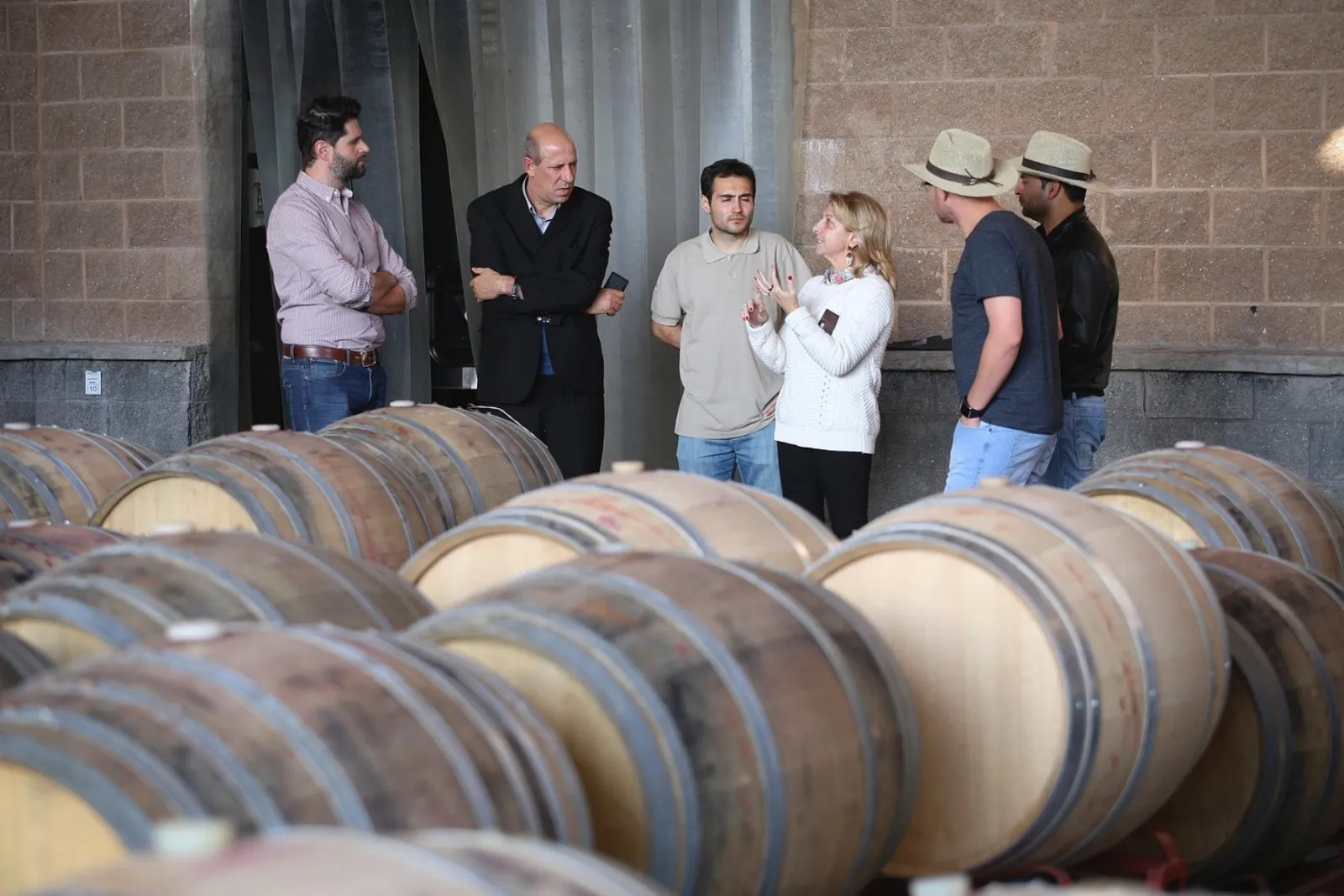 Luján de Cuyo Half Day Wine Tour
