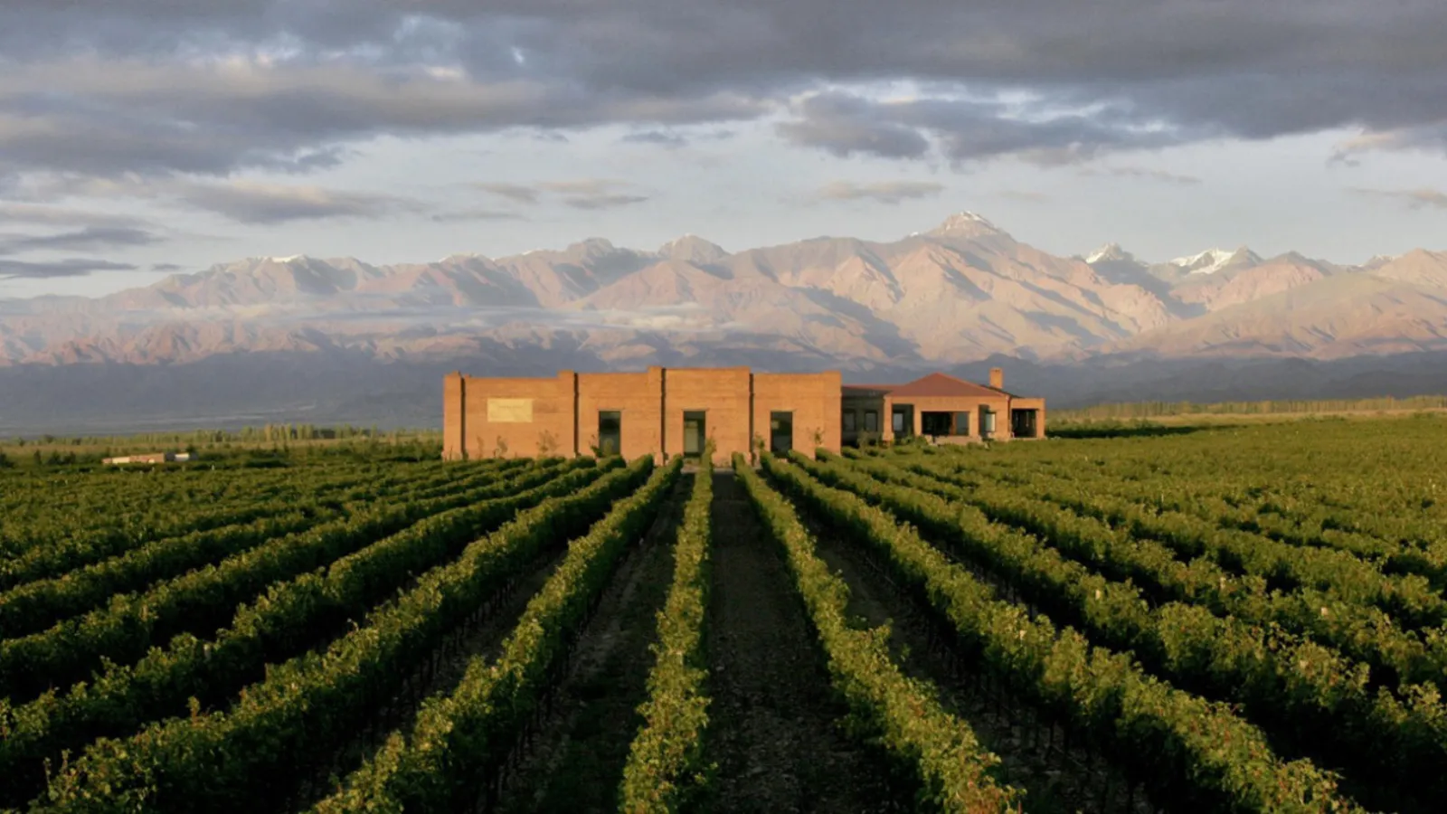 Andeluna Cellars