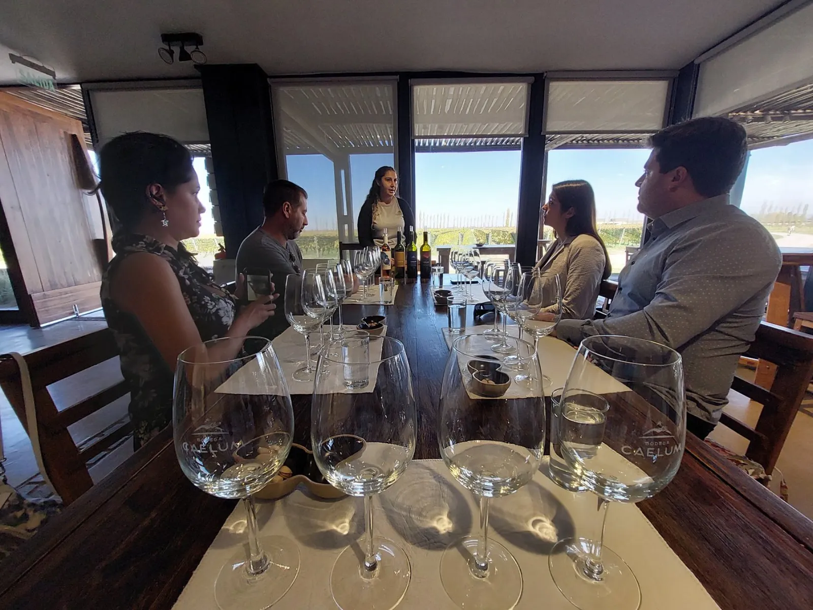 Tasting by the window, vineyard straight ahead